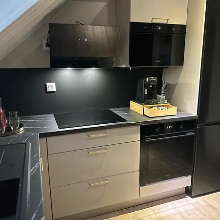 Magnifique Independant 5 Min Colmar Parking Wifi Apartmán *