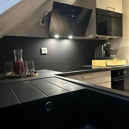 아파트 Magnifique Logement Air Conditioning 5 Min Colmar Parking Wifi 빈첸하임